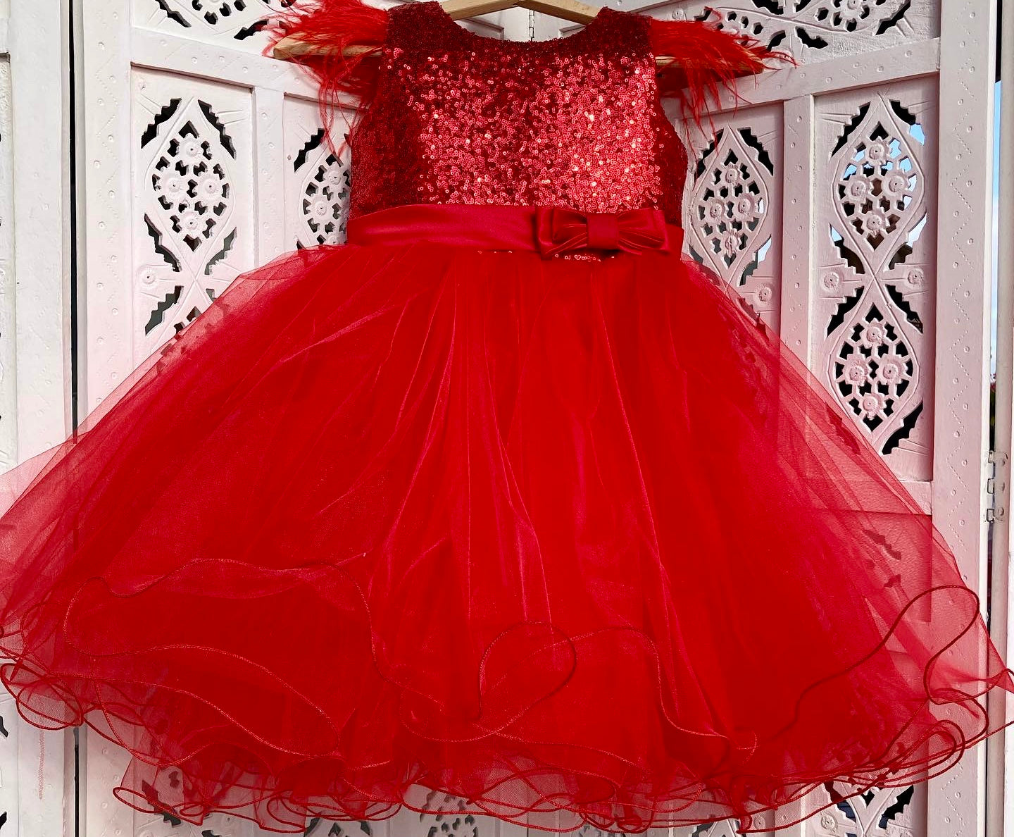 Red Sequins Dress with Feathers