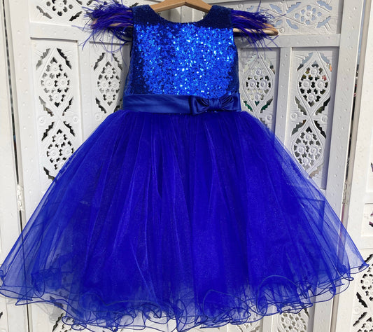 Blue Sequin Dress with Feathers